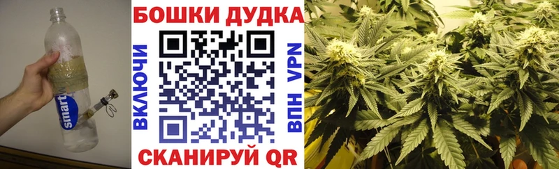 Бошки Шишки MAZAR  Клин 